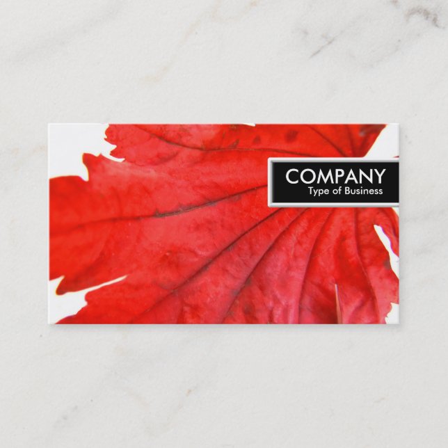 Edge Tag - Japanese Maple Leaf (Front)