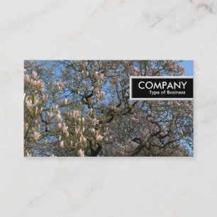 Edge Tag - Magnolia Trees in Blossom