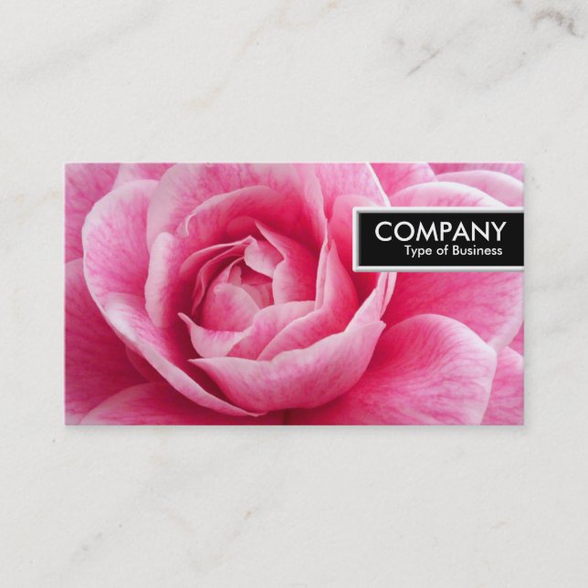 Edge Tag - Pink Camelia (Front)