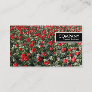Edge Tag - Red Tulips and Primroses