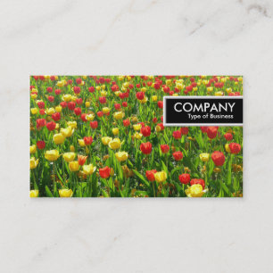 Edge Tag - Sea of Tulips II