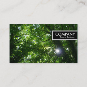 Edge Tag - Sun in the Trees