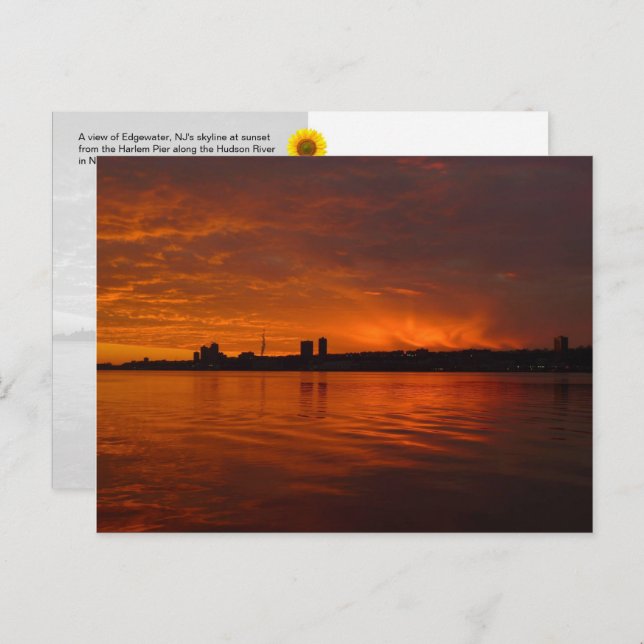 Edgewater, NJ Skyline - H postcard (Front/Back)