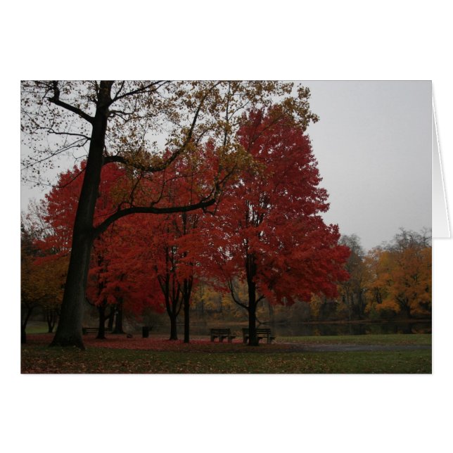 edgewood park in the fall (Front Horizontal)