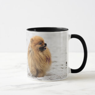 Edgrrrr #3 - Pomeranian Mug
