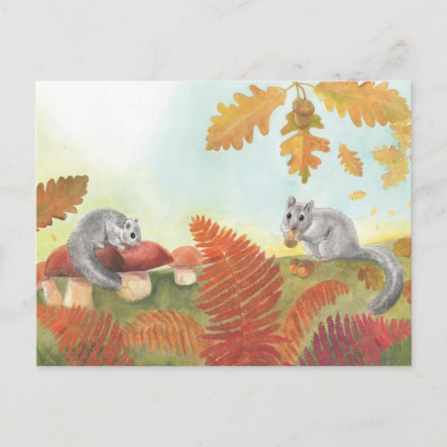 Edible Dormice (Glis glis) in Nature   Postcard (Front)