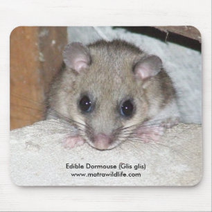 "Edible Dormouse" Mousepad