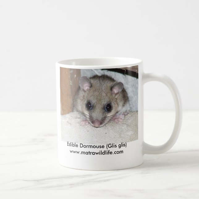 "Edible Dormouse" Mug (Right)