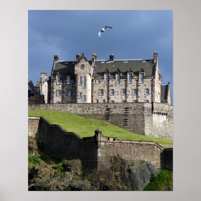 edinburgh castle gull poster (Front)
