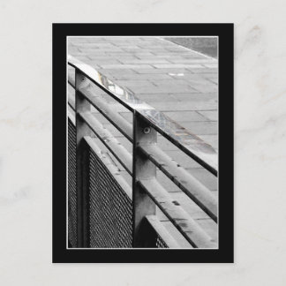 Edinburgh Railings Postcard