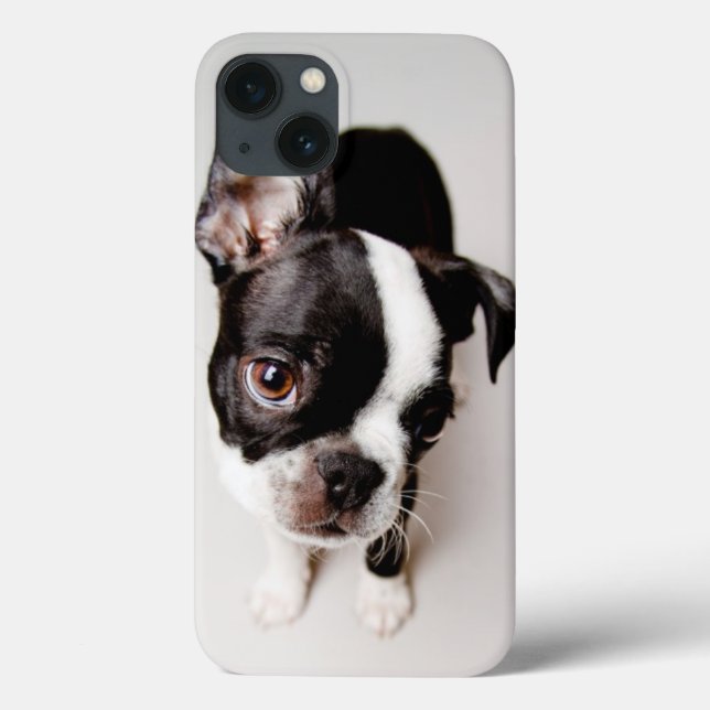 Edison Boston Terrier puppy. Case-Mate iPhone Case (Back)