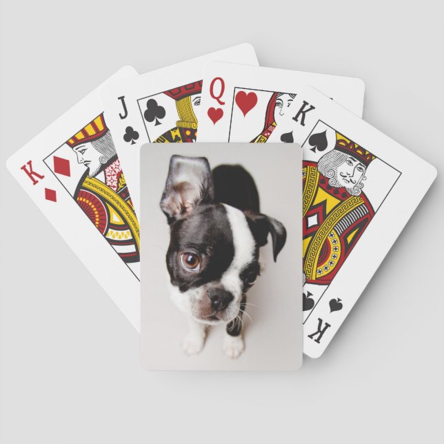 Edison Boston Terrier puppy. Playing Cards (Back)