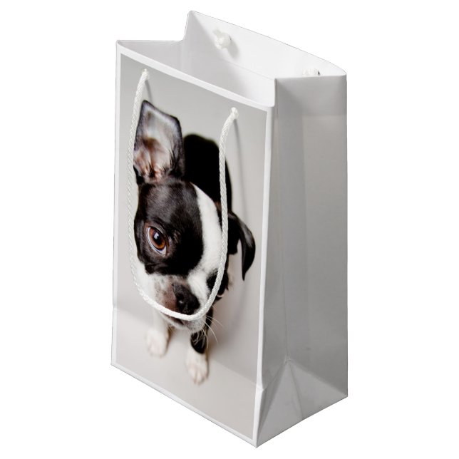 Edison Boston Terrier puppy. Small Gift Bag (Front Angled)
