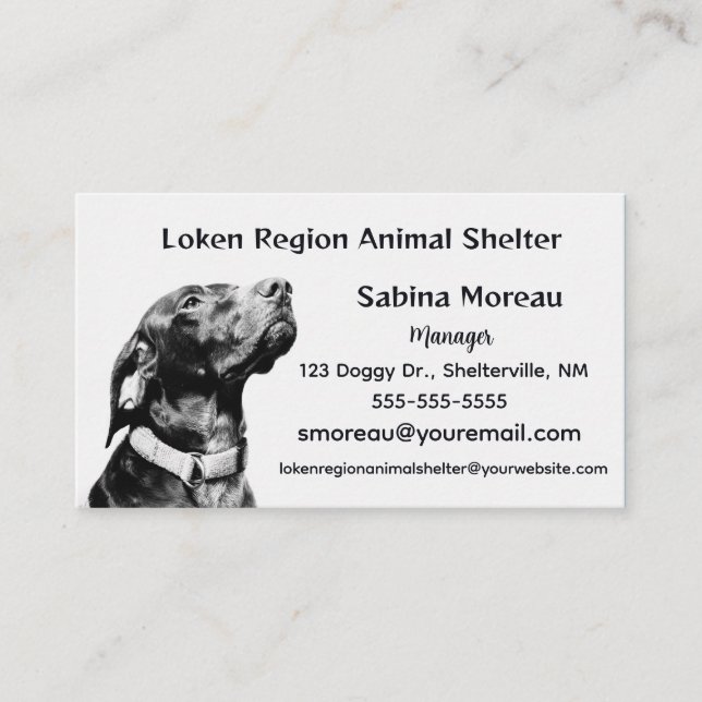 Editable Animal Shelter Business Card (Front)