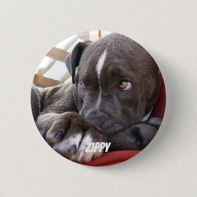 Editable Baby Pitbull Puppies 6 Cm Round Badge (Front)