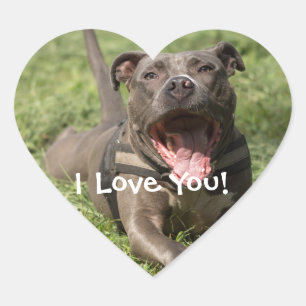 Editable Brown Pitbull In Grass Heart Sticker