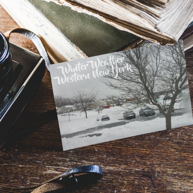 Editable Buffalo Images Winter Storm Postcard (Creator Uploaded)