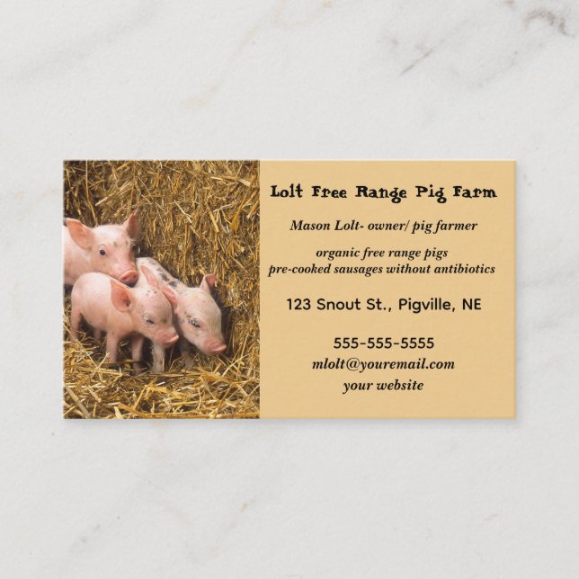 Editable Free Range Pig Farm Business Card (Front)