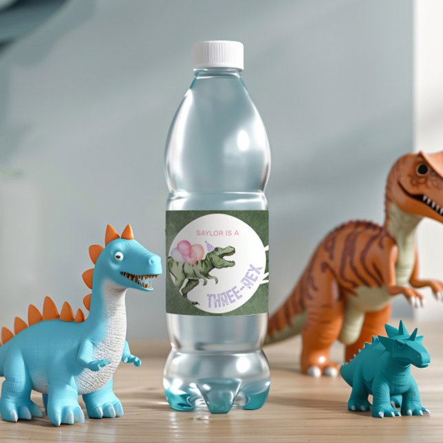 Editable Girl's Dinosaur Water Bottle Labels (Creator Uploaded)