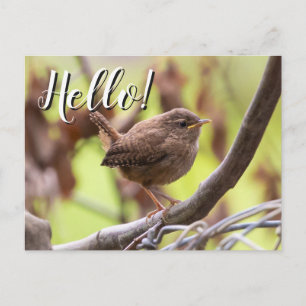 Editable Hello Neighbour New Address Wren Announce Announcement Postcard