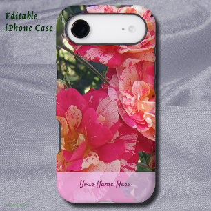 Editable Pink and White Striped Roses