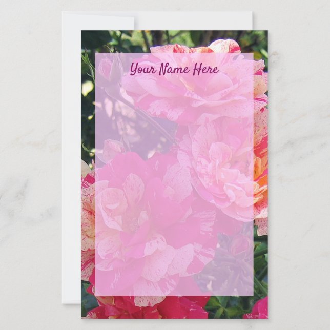 Editable Pink and White Striped Roses 5.5" x 8.5" Stationery (Front)