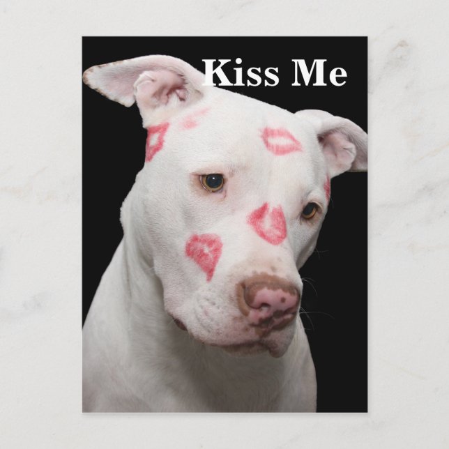 Editable Pitbull Lover Postcard (Front)
