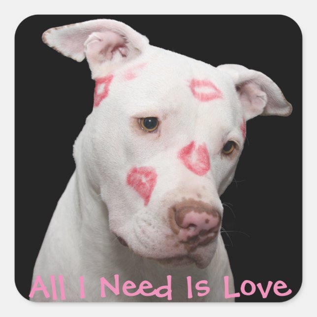 Editable Pitbull Lover Square Sticker (Front)