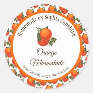 Editable Retro Oranges Fruit Pattern Stickers