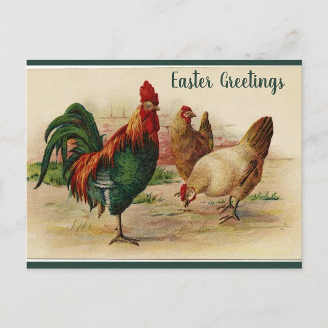 Editable Rooster and Hens Easter Postcard (Front)