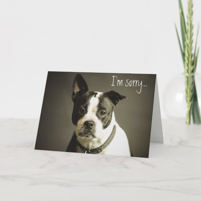 Editable Sad Dog Apology Card (Front)