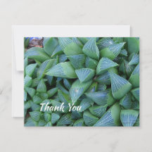Editable Thank You Succulent Plant 4.25"x5" Card