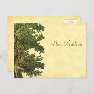 Editable Vintage Oak Tree New Address Postcard