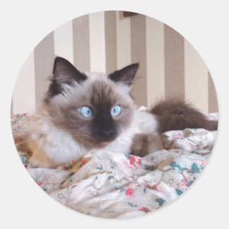 Edith Classic Round Sticker