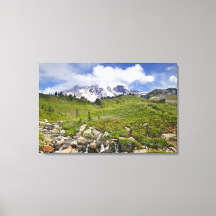 Edith Creek and wildflower meadows at Paradise Canvas Print