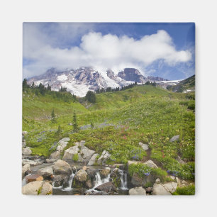 Edith Creek and wildflower meadows at Paradise Magnet