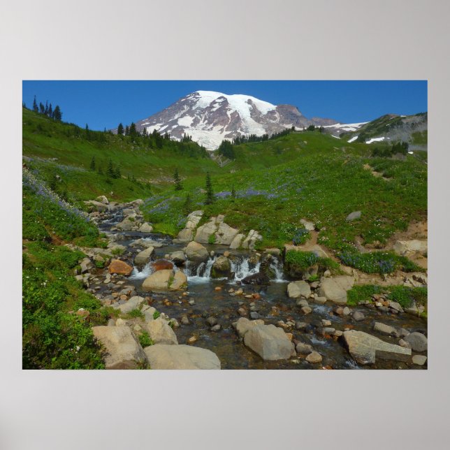 Edith Creek at Mount Rainier National Park Poster (Front)