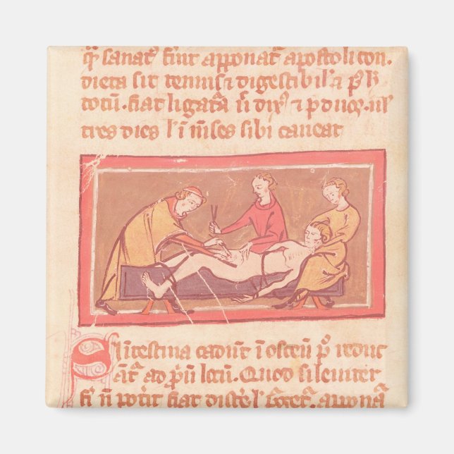 edition of 'Book of Surgery' by Rogier de Salerne Magnet (Front)
