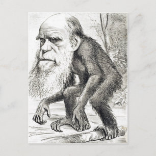 Editorial Cartoon Of Charles Darwin 1871 Postcard