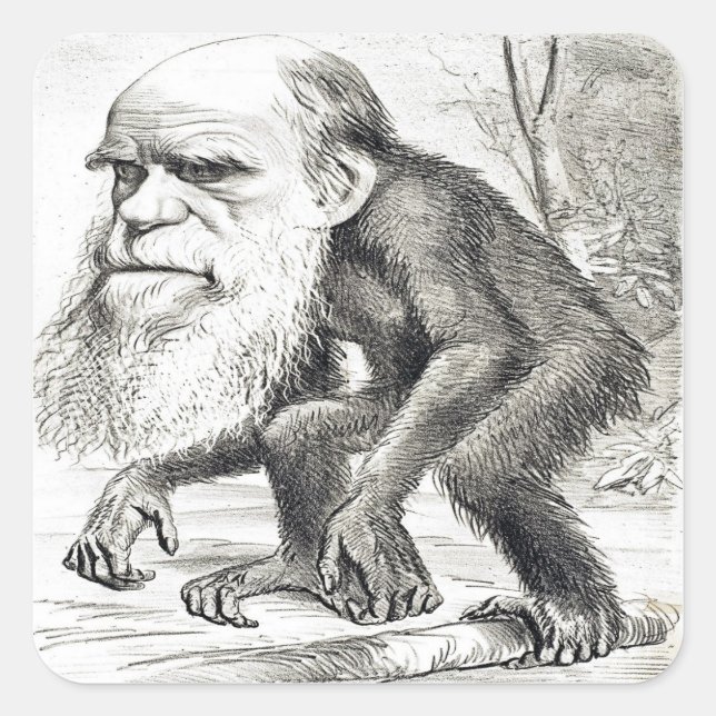 Editorial Cartoon Of Charles Darwin 1871 Square Sticker (Front)