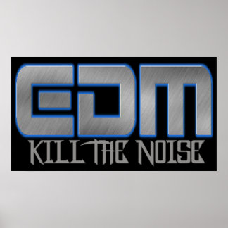 EDM KILL THE NOISE POSTER