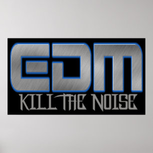 EDM KILL THE NOISE POSTER