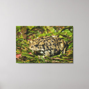 edmonton, alberta, canada 2 canvas print