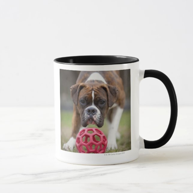 edmonton alberta canada mug (Right)