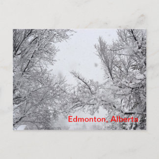 Edmonton, Alberta Winter Post card