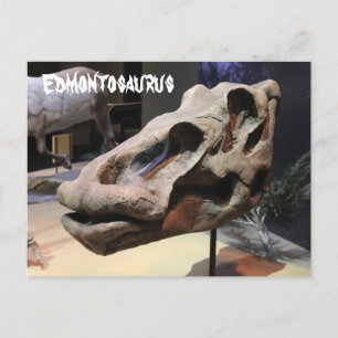 Edmontosaurus Postcard