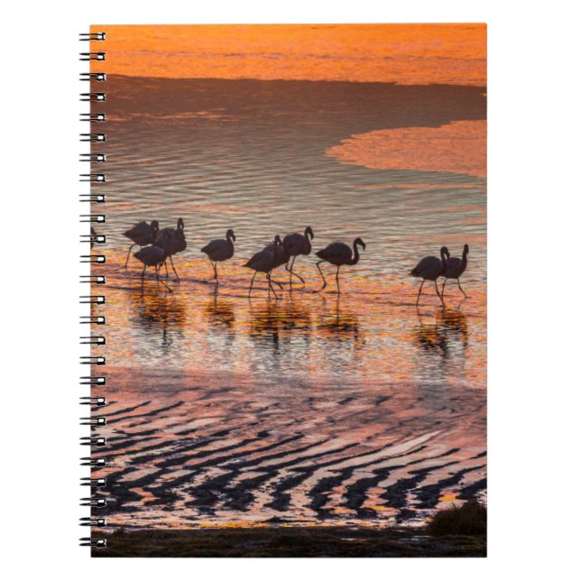 Eduardo Abaroa Andean Fauna National Reserve Notebook (Front)