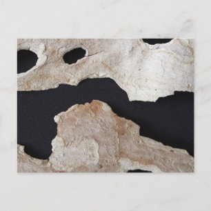 educatedbrainfart Bark 2 Postcard