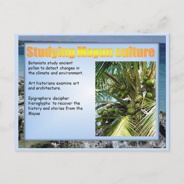 Education, History, Mayan culture Postcard (Front)