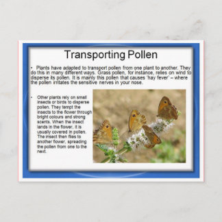 Education, Science, Life, Transporting pollen Postcard